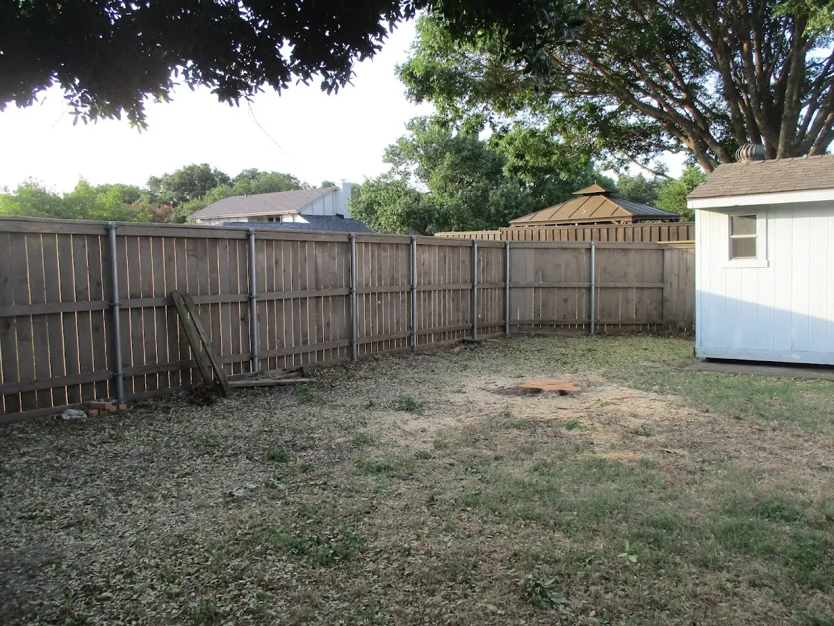 Cleared yard after professional tree removal in Bellingham